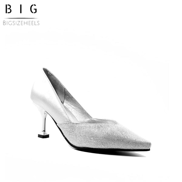 Bigsizeheels Trendy Slip-On Pointed Toe Stiletto H - Silver freeshipping - bigsizeheel®-size5-size15 -All Plus Sizes Available!